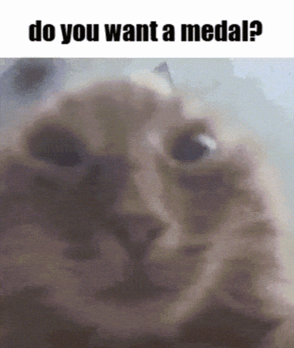 a close up of a cat 's face with the words do you want a medal written above it