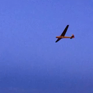 Glider Rc GIF - Glider Rc Plane GIFs