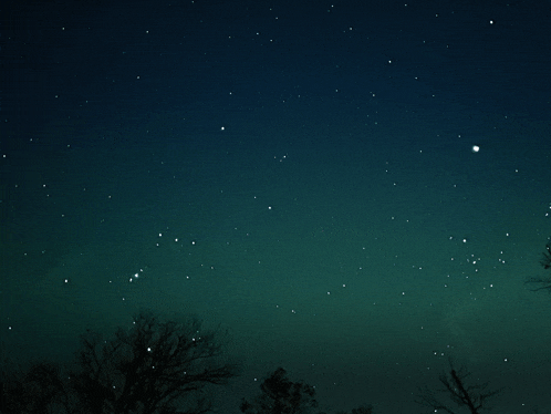 a dark night sky with lots of stars and trees in the foreground