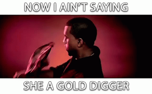 Now I Ainyt Saying She A Gold Digger Sketchy GIF