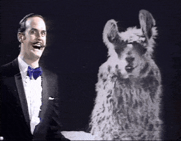 a man in a tuxedo and bow tie stands next to a white furry animal