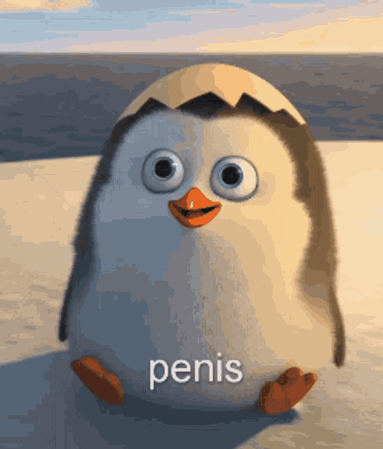 a cartoon penguin with the word penis on the bottom