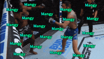 the word mangy is on a boxing ring
