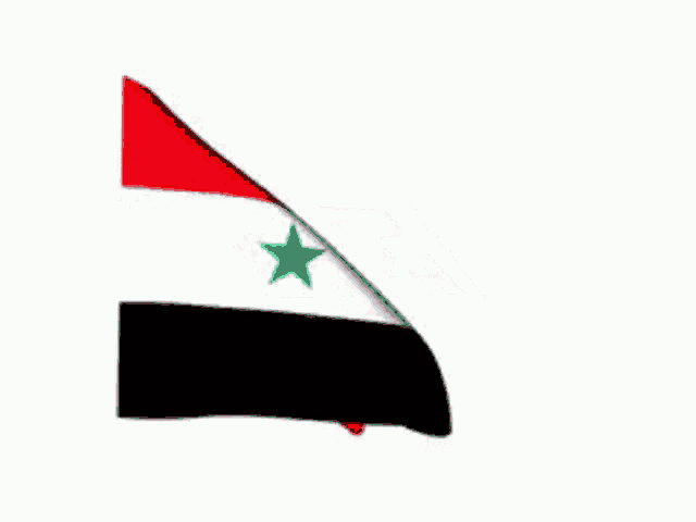 a red white and black flag with green stars