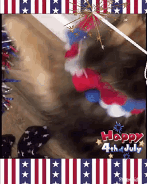 4th Of GIF