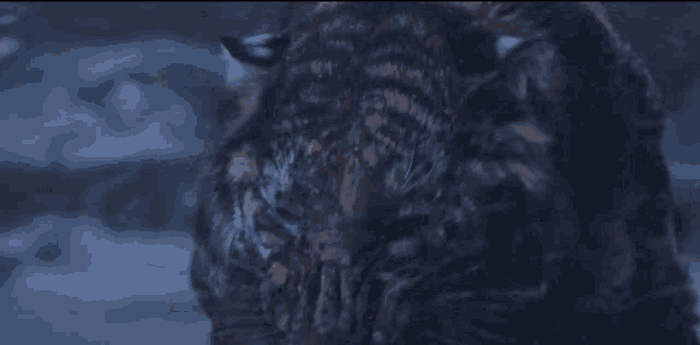 a close up of a tiger 's face with smoke coming out of it