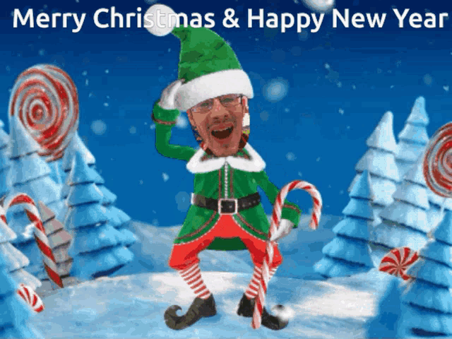 a merry christmas and happy new year greeting card with an elf