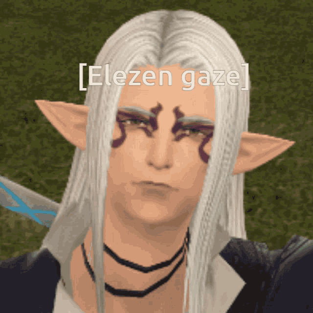 a man with long white hair and elf ears has the word elezen gaze on his face