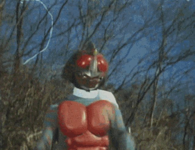 Kamen Rider Tokusatsu GIF - Kamen Rider Tokusatsu GIFs