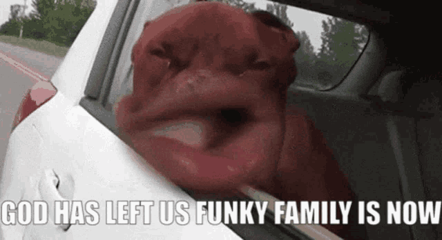 a dog sticking its head out of a car window with the words god has left us funky family is now