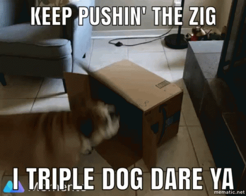 Bulldog Dog Vs Box GIF - Bulldog Dog Vs Box Zigg Meister GIFs