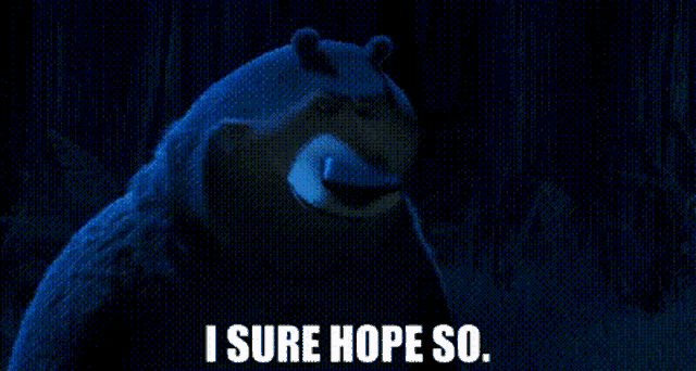 a bear is standing in the dark with the words `` i sure hope so '' written below it .
