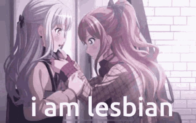 two anime girls are hugging each other and the words `` i am lesbian '' are visible .