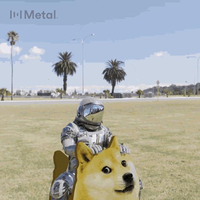 Doge Dogecoin GIF - Doge Dogecoin Metal GIFs