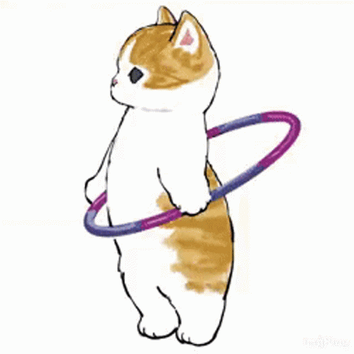 Cat Exercise GIF - Cat Exercise Kitten GIFs