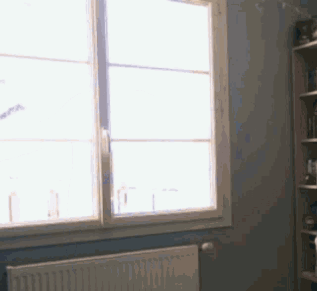 a room with a bookshelf and a window
