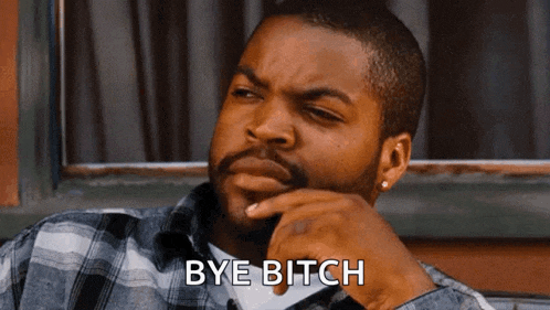 ice cube says " bye bitch " while looking out a window