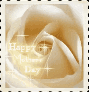 a white rose with the words happy mother 's day
