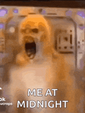 a blurry picture of a dog with its mouth open and the words me at midnight on the bottom