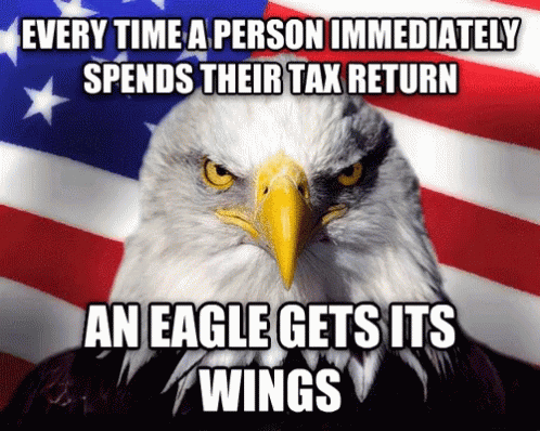 Tax Return Eagle GIF - Tax Return Eagle GIFs