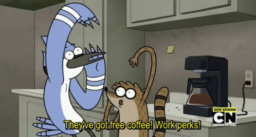 Regular Show Mordecai And Rigby GIF - Regular Show Mordecai And Rigby Theyve Got Free Coffee GIFs