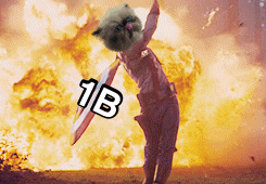 a cat holding a shield with 1b on it