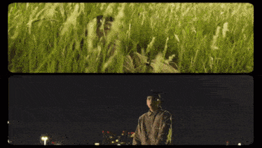 a man standing in a field of tall grass