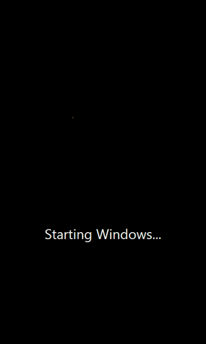 a computer screen that says starting windows in white letters
