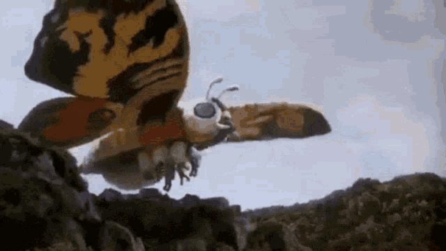 Mothra Queen Mothra GIF