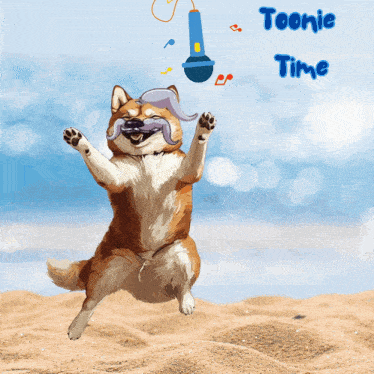 a picture of a dog jumping in the air with the words toonie time written below it