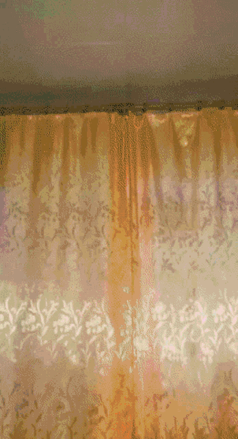 a close up of a curtain with a pattern of flowers on it