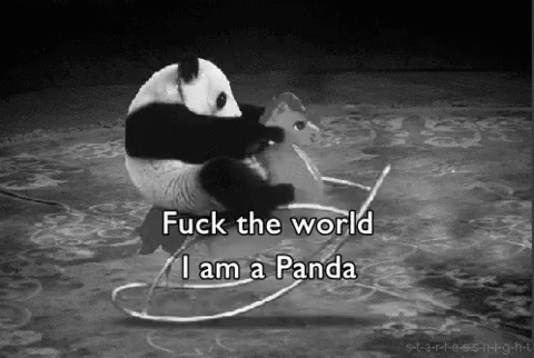 Panda Fuck The World GIF - Panda Fuck The World Play T Ime GIFs