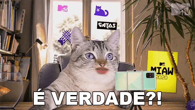 a cat is sitting at a desk with a phone in front of a sign that says gatas