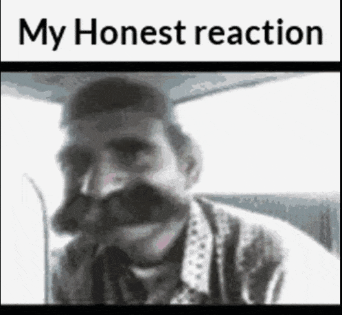 Honest Reaction My Honest Reaction GIF - Honest Reaction My Honest Reaction Groovy GIFs
