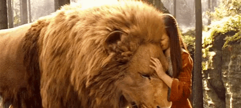 a woman is petting a large lion 's head in the woods .
