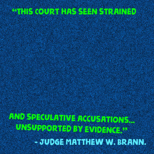 Legal Arguments Without Merit This Court Has Seen Strained GIF - Legal Arguments Without Merit This Court Has Seen Strained Speculative Accusations GIFs