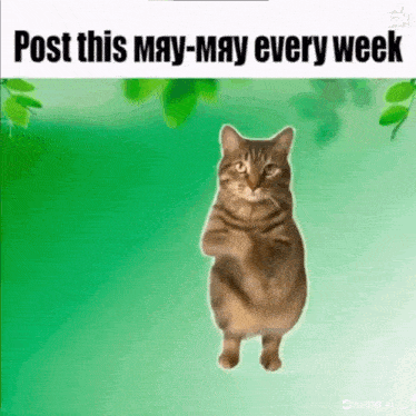 a cat is standing on its hind legs in front of a green background and the words `` post this may-may every week '' .