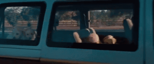 a woman is driving a van with her dog in the back seat .