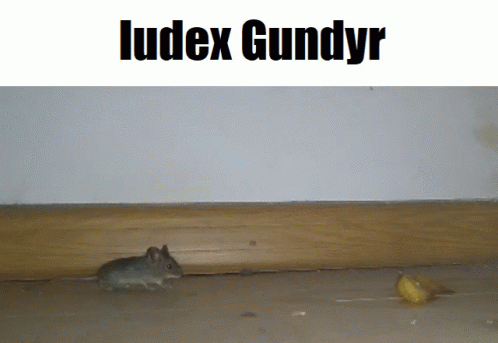 Iudex Gundyr GIF - Iudex Gundyr Iudex Gundyr GIFs