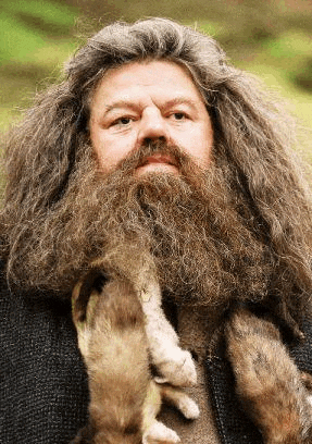 a man with a beard and long hair is holding a small animal in his arms .