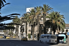 a white van is parked on the side of a street in front of palm trees