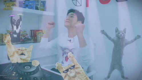 Youngk Cat GIF - Youngk Cat Rave GIFs