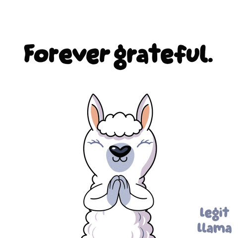 a cartoon llama says " forever grateful " with its hands folded in prayer