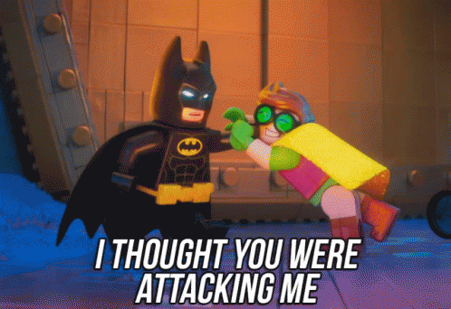 I Thought You Were Attacking Me GIF - Robin Attacking Defense GIFs