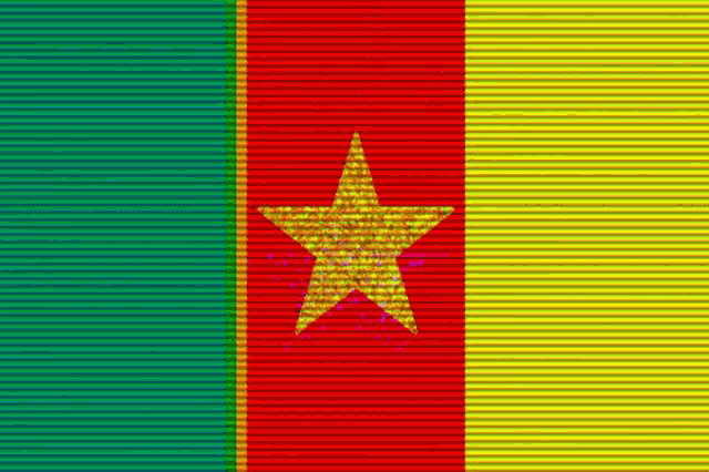 a green and yellow flag with a red star in the middle