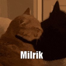 a couple of cats laying next to each other with the word milrik on the bottom