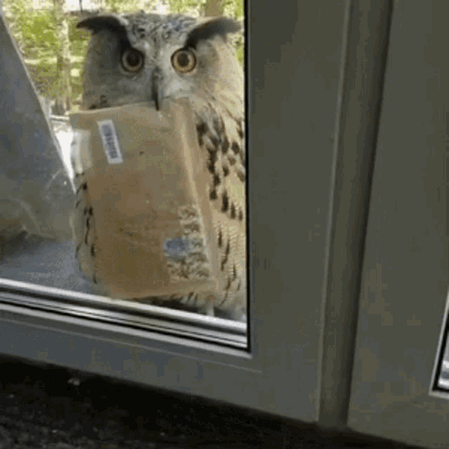 Youve Got Mail Mail GIF - Youve Got Mail Mail Get The Mail GIFs