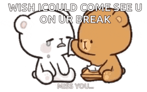 a cartoon of two teddy bears sitting next to each other with the words wish i could come see u on ur break