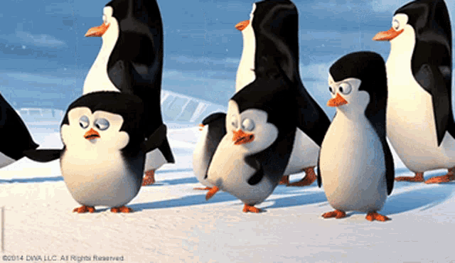 a group of penguins from the movie madagascar are standing in a line