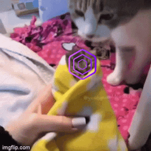 Akro Cat GIF - Akro Cat Cute GIFs